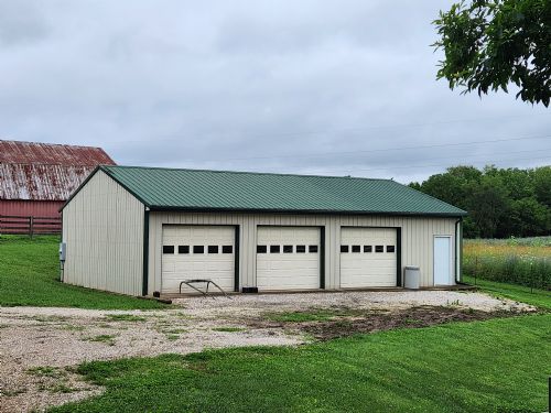 Lewis Auction